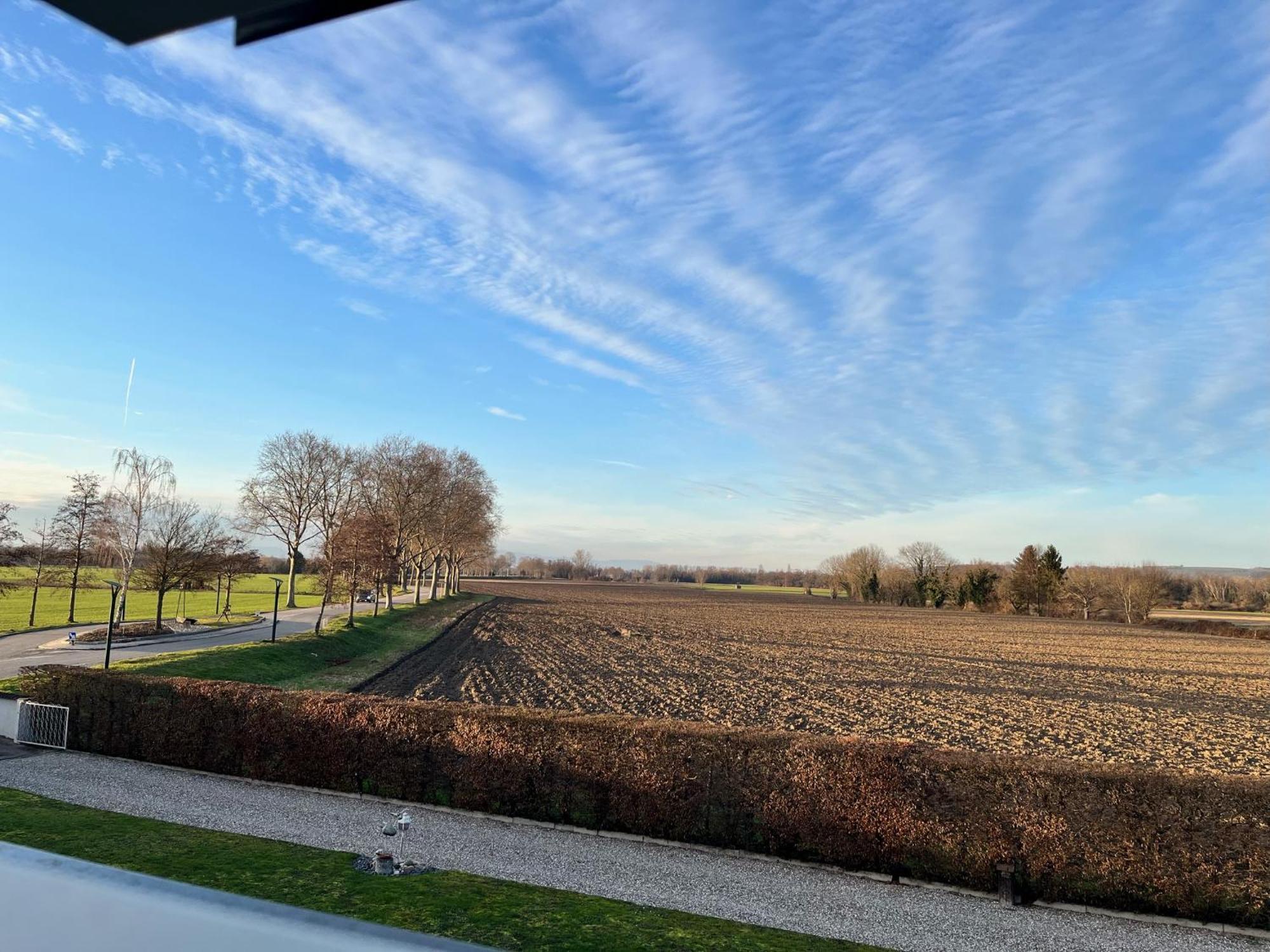 Le Clos Des Maraichers Village-Neuf Luaran gambar